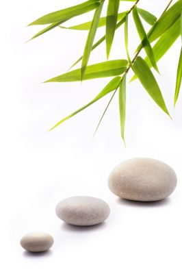 Conseil, audit et formation