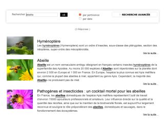 Taonix développe un nouveau moteur de recherche
