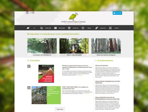 Page d'accueil du site www.foretlogistique.eu créé par Taonix