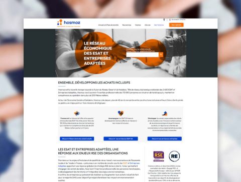 Création du site internet du Réseau GESAT