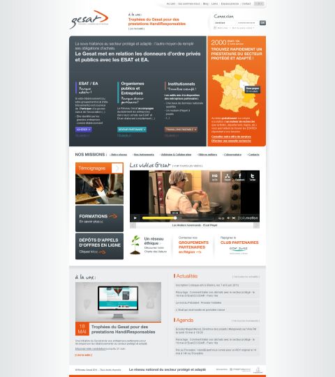 Création du site internet du Réseau GESAT