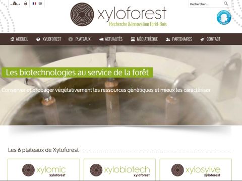 Xyloforest.org, site réalisé par TAONIX