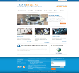 TechniSourcing
