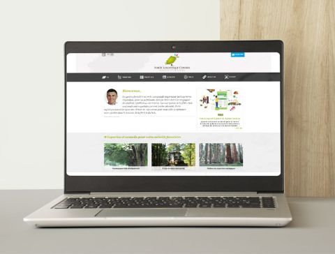 Site Internet Forêt Logistique Conseil