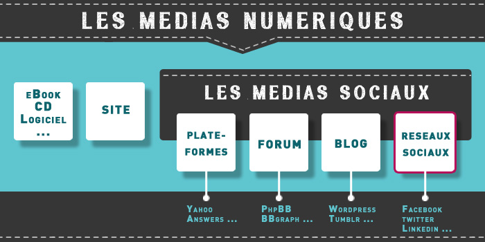 Infographie des réseaux sociaux au sein des médias sociaux