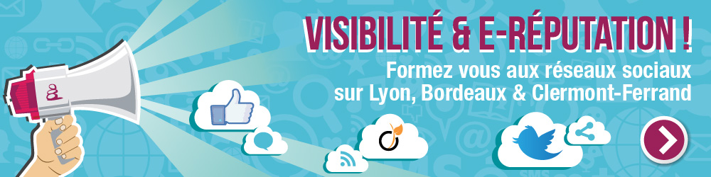 Formation Lyon Réseaux sociaux facebook twitter viadéo